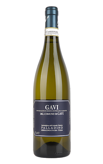 Producto: Palladino Gavi del comune di Gavi DOCG 2023