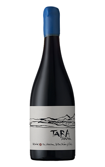 Producto: Tara Red Wine 2 Syrah 2019