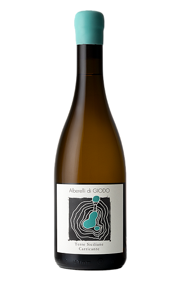Producto: Alberelli Di Giodo Bianco 2022