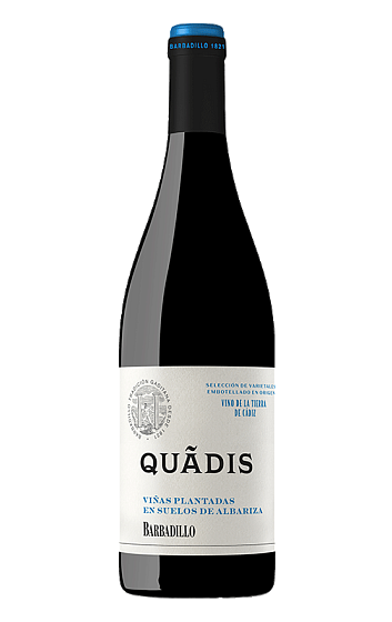 Producto: Quadis Joven 2023