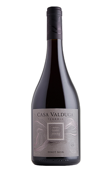 Producto: Casa Valduga Terroir Pinot Noir 2022