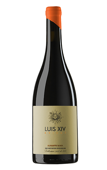 Producto: Luis XIV Brisat 2024
