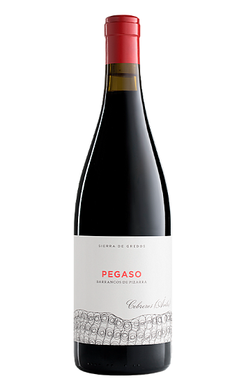 Producto: Pegaso Pizarra 2022