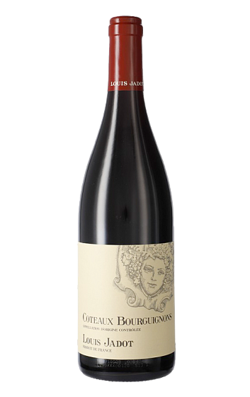 Producto: Louis Jadot Coteaux Bourguignons Rouge 2023