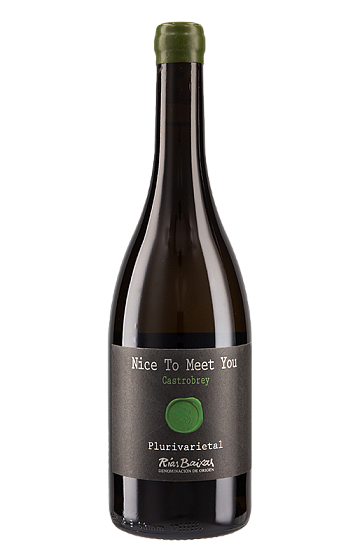 Producto: Nice to meet you 2021
