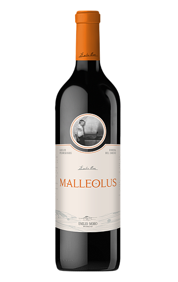 Producto: Malleolus 2023