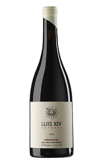 Producto: Luis XIV Ánforas 2023