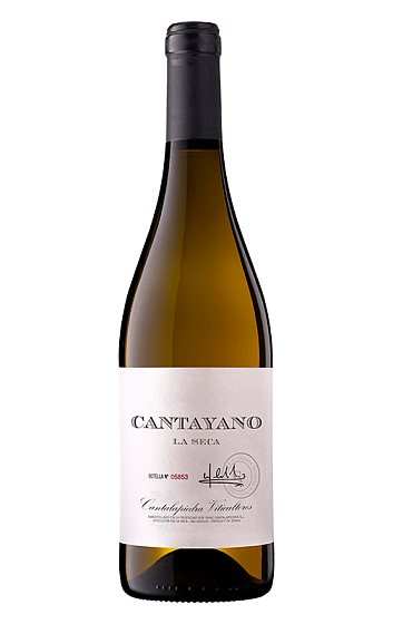 Producto: Cantayano 2025