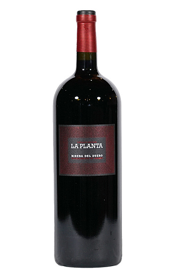 Producto: La Planta 2024 Magnum