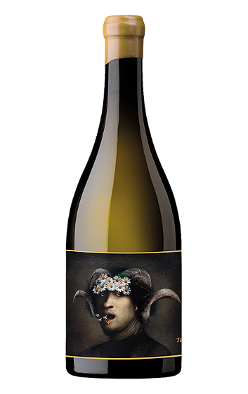 Producto: Oxer Marko Terlegiz 2025