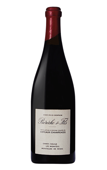 Producto: Bérêche & Fils Côteaux Champenoise Ormes Rouge Les Montées 2019