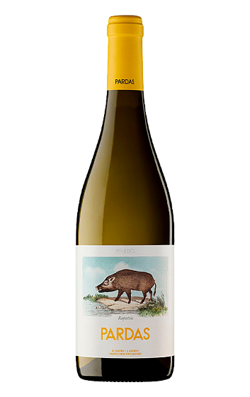 Producto: Rupestris Pardas 2023