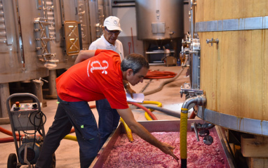 Trabajos en bodega