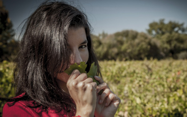 En el viñedo