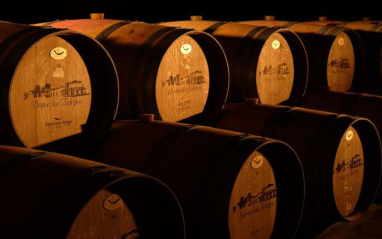 Barricas en la bodega