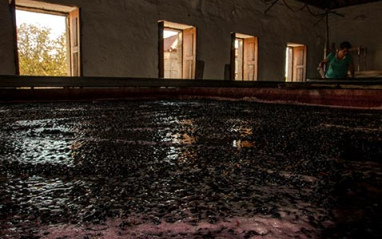 La bodega