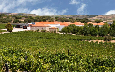 En Douro desde 1880