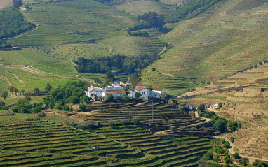 El viñedo en las colinas escarpadas de Douro