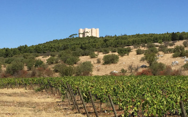 Viñedos con vistas al Castel del Monte, en Andria.