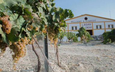 Vista exterior de la bodega