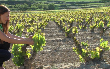 Laura Muga, de Uvas Frescas