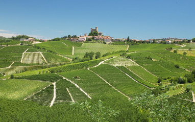 Viñedos Massolino