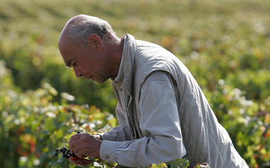 Domaine de la Romanée-Conti