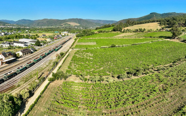 Pazo de la Cuesta
