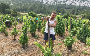 Le Clos des Fées