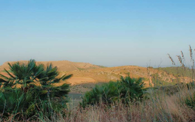 Serra Ferdinandea