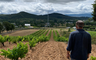 Aurelio en sus viñedos