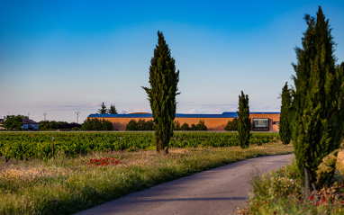 Valtravieso Bodegas y Viñedos