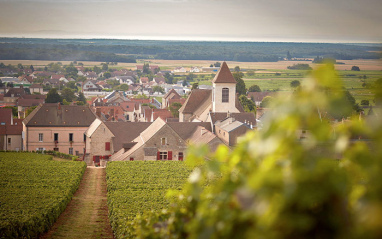 Clos de Tart