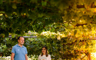 María y David en el viñedo