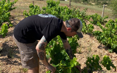 Adrián Alonso en uno de sus viñedos