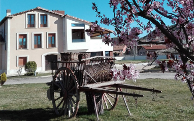 Arrocal