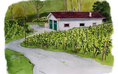 Dibujo de las instalaciones
