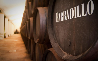 Barbadillo