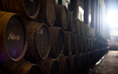 Bodega Barbadillo