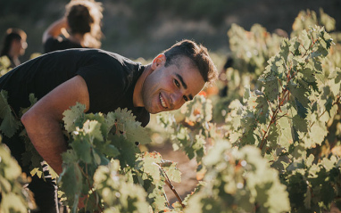 Jose Gil Vigneron