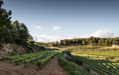 Albet i Noya