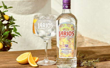 Larios Gin Dry