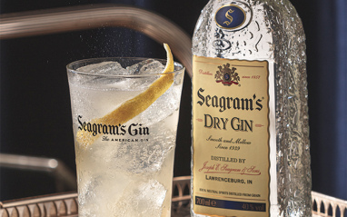 Seagram's Dry Gin
