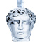 Producto: Impavid Luxury Gin