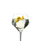 Producto: Estuche de 4 Copas 'Riedel Extrem Gin Tonic Set'