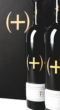 Estuche 2 botellas Summa Varietalis 2008