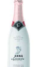 Producto: Anna de Codorníu Brut Rosé Sleever