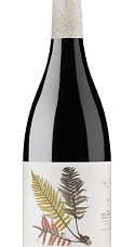 Fento Tinto 2016