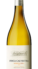 Producto: Finca Calvestra 2019 (no usar)