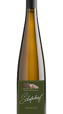 Producto: Schieferkopf Riesling Lieu-dit Fels 2020